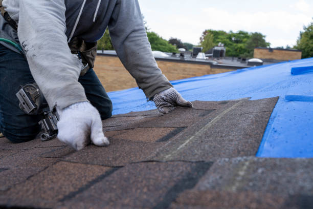 Best Commercial Roofing Services  in Sherwood, WI