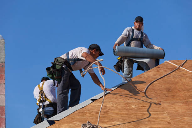 Best Gutter Installation and Roofing  in Sherwood, WI